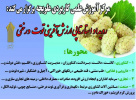 رویداد استارتاپی ارزش آفرینی توت درختی در مرکز آموزش علمی کاربردی علویجه برگزار               می شود