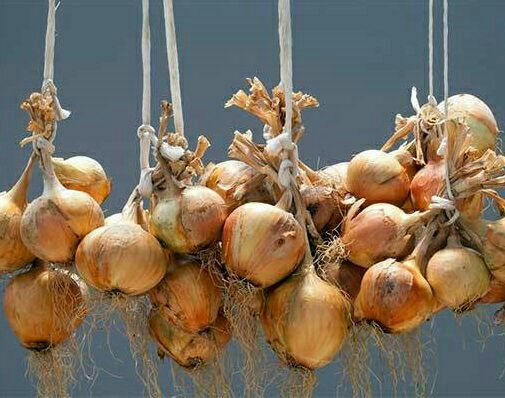 ۱۴ طرح به دبیرخانه رویداد شتاب موسیر رسیده است